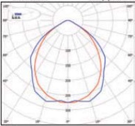  ������ ���� �����